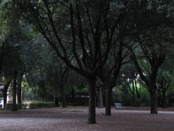 VillaBorghese.jpg